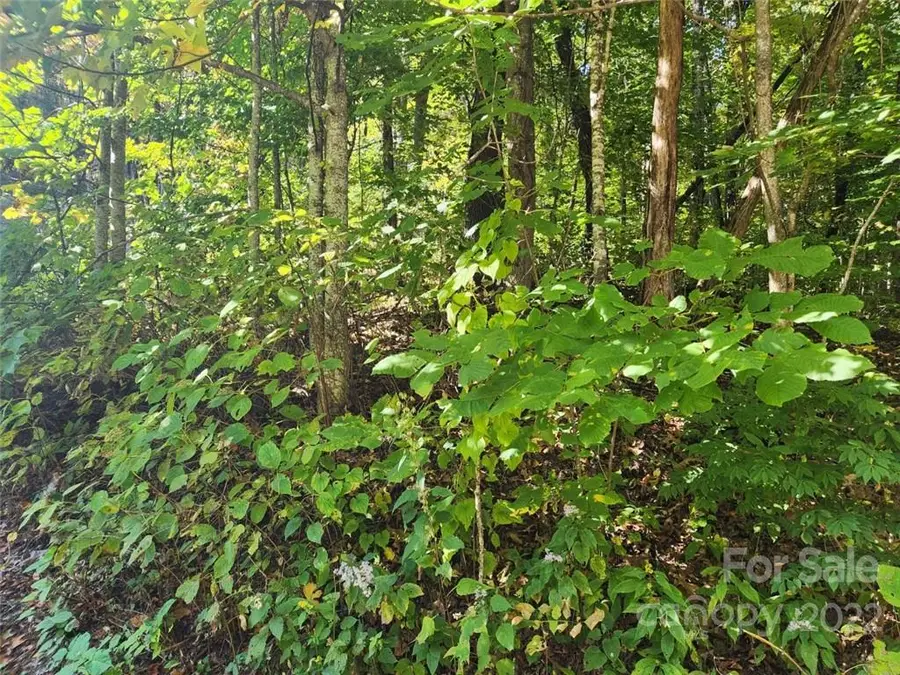 00 Staymon Road #229, Waynesville, NC 28786 - Image #3