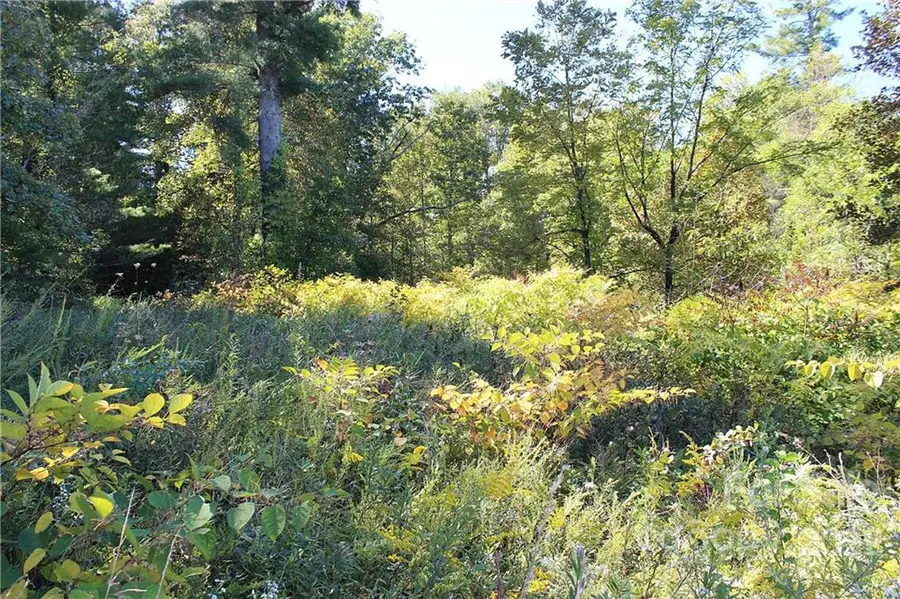 90 Oscelake Way, Hendersonville, NC 28739 - Image #2