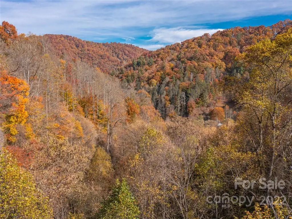 000 Drake Cove Road, Mars Hill, NC 28754 - Image #1