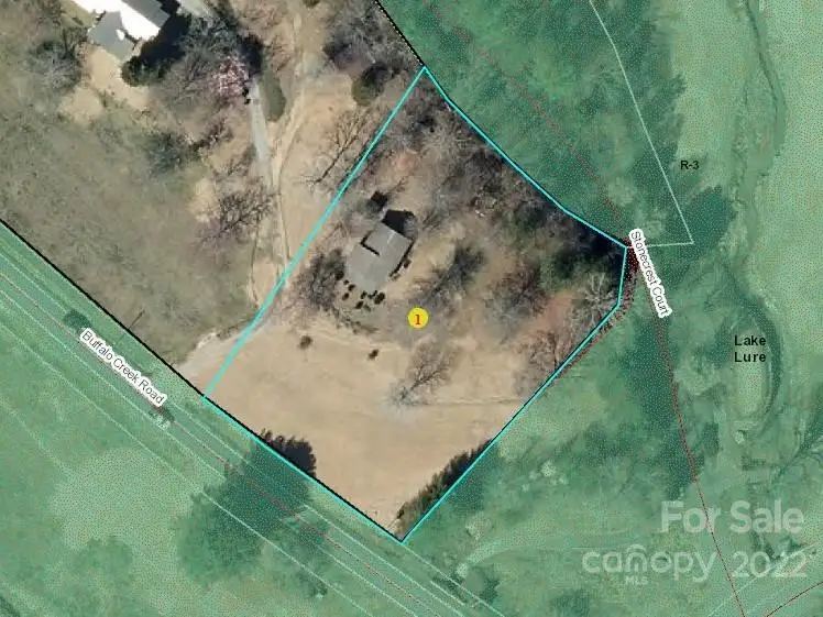 598 Buffalo Creek Road, Lake Lure, NC 28746 - Image #3