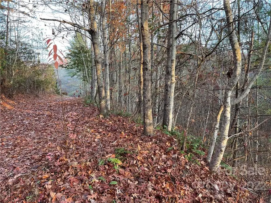 Lot 43 Kimiko Lane, Balsam Grove, NC 28708 - Image #2