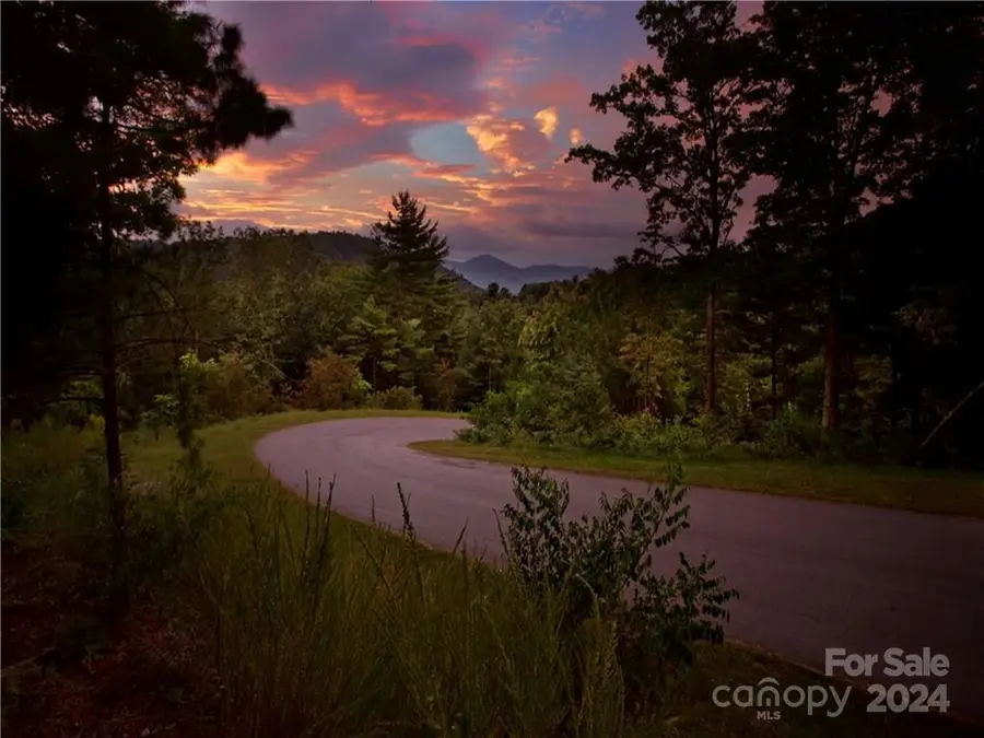 187 Starling Pass None #102, Asheville, NC 28804 - Image #2