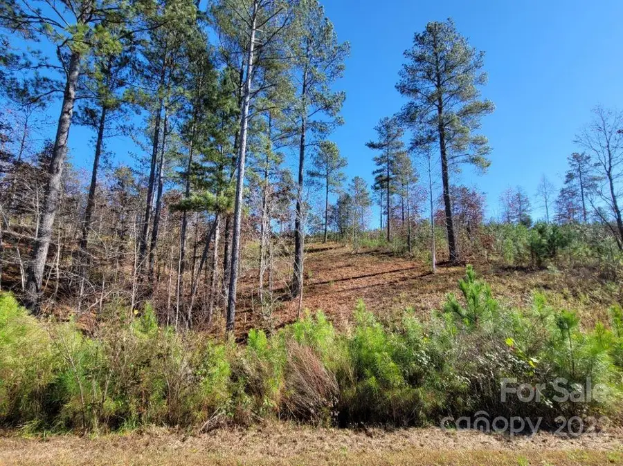 2076 Island View Lane Ne, Connelly Springs, NC 28612 - Image #2