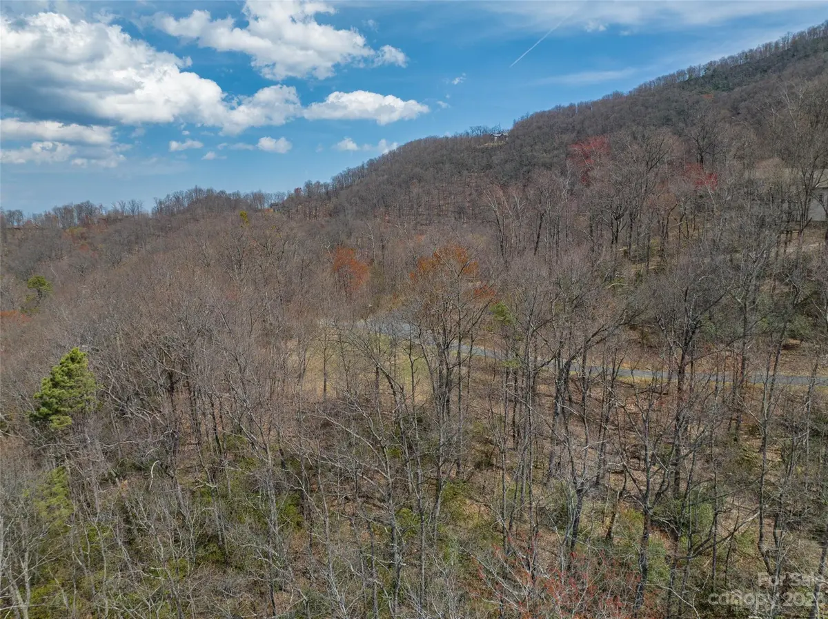187 Arcadia Falls Way #77, Black Mountain, NC 28711 - Image #1