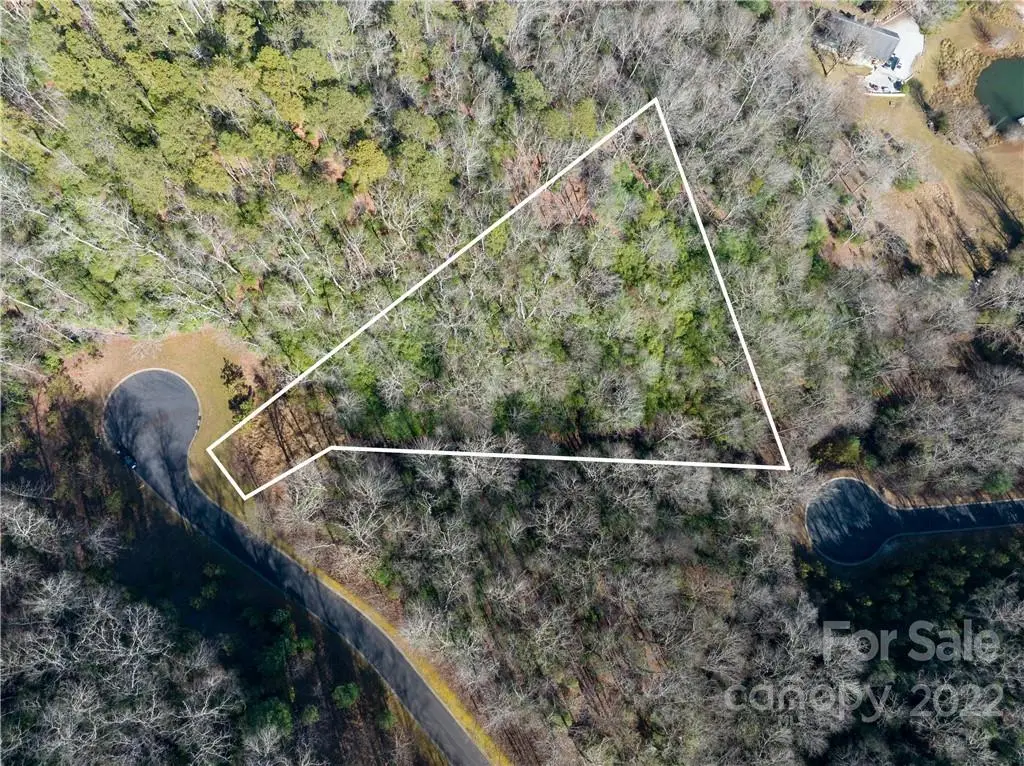 000 Mills River Way #101, Horse Shoe, NC 28742 - Image #1