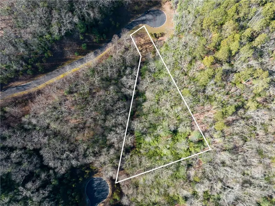 000 Mills River Way #101, Horse Shoe, NC 28742 - Image #3