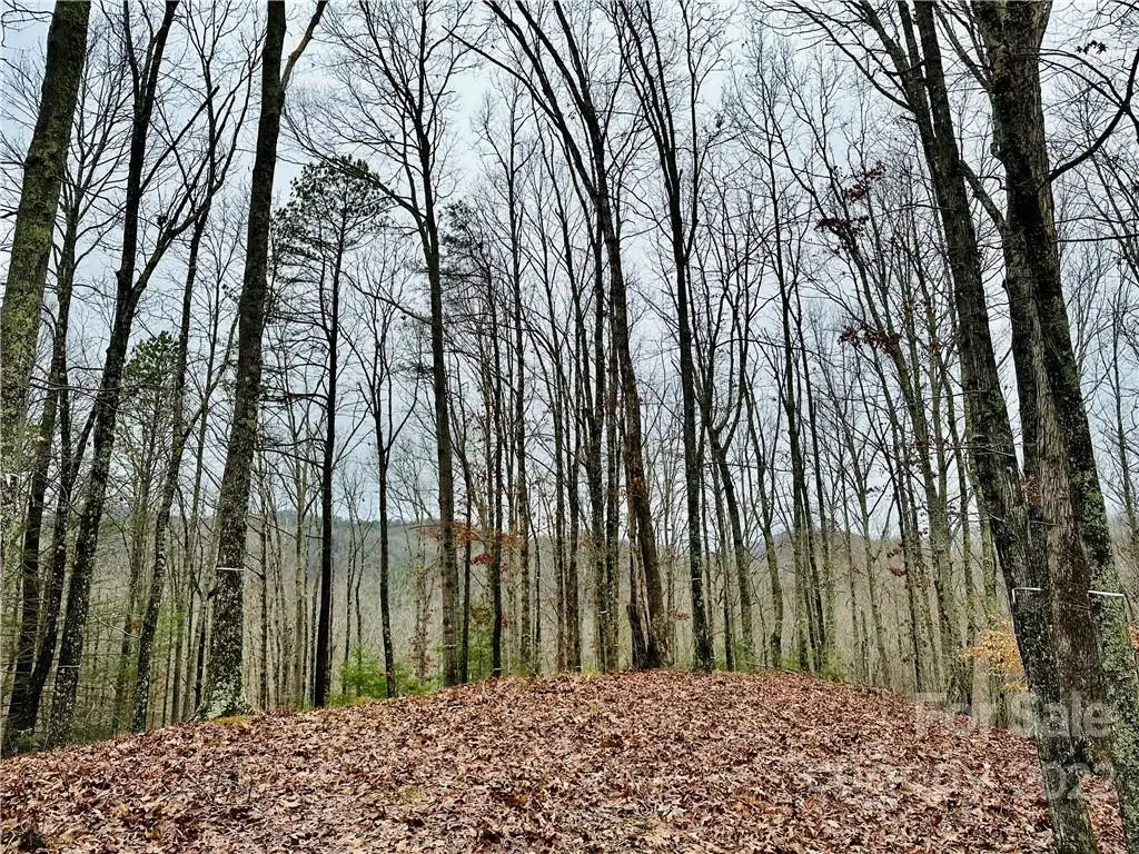 921 Wild River Run #33, Marshall, NC 28753 - Image #1