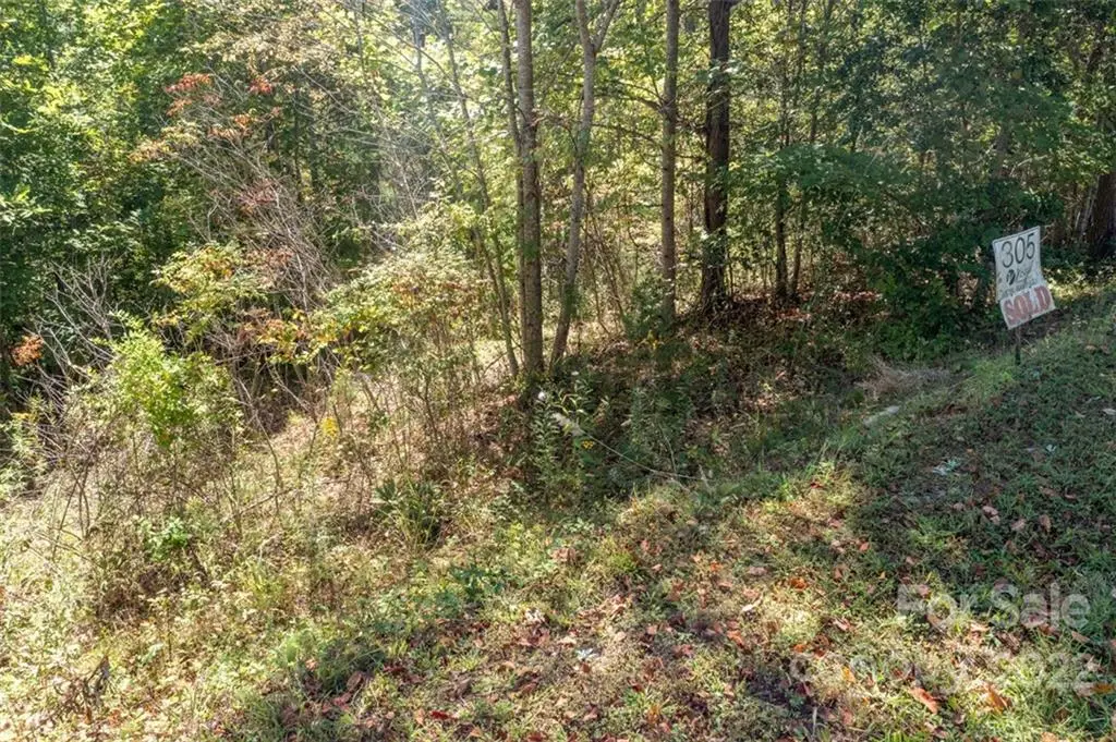 00 Rock Ledge Drive #305, Lake Lure, NC 28746 - #1