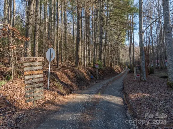 00 Cougar Lane, Whittier, NC 28789