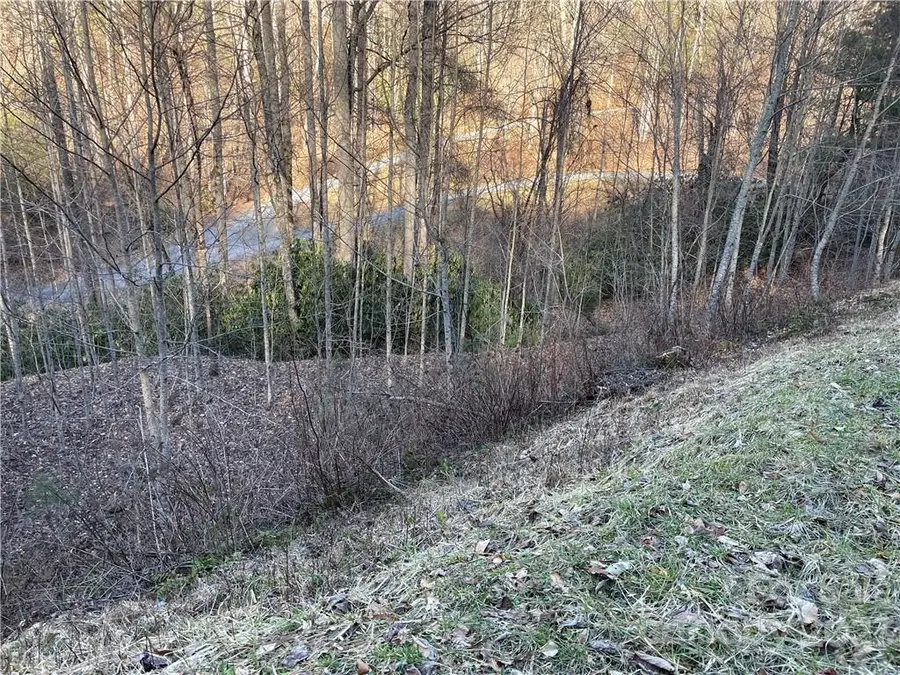 Lot 38 Brush Creek Mountain Road #38, Bryson City, NC 28713 - Image #2