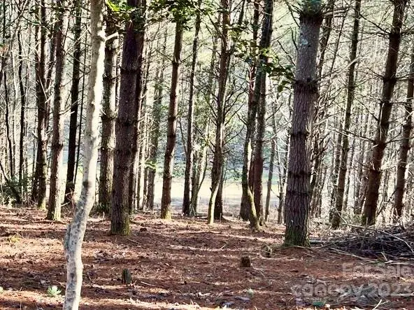 2.29 acres Lot 94 Crescent Ridge Drive #94, Lenoir, NC 28645 - #1