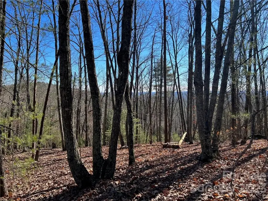 0 Taylorsville Road #Tract 3, Taylorsville, NC 28681 - Image #2