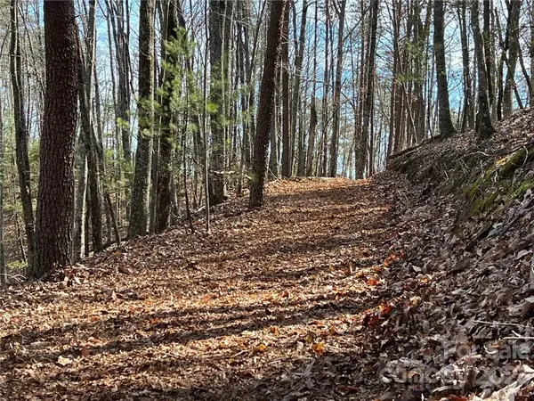 0 Taylorsville Road #Tract 2, Taylorsville, NC 28681