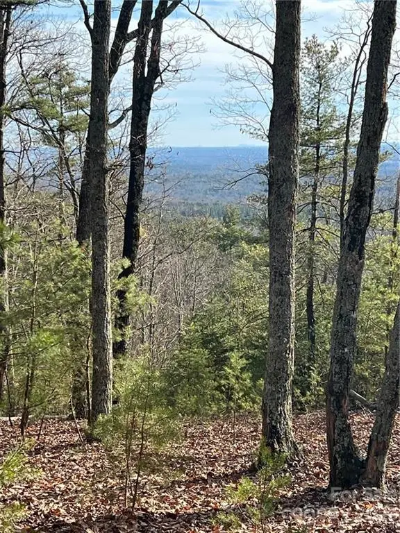 0 Taylorsville Road #Tract 1, Taylorsville, NC 28681 - Image #2