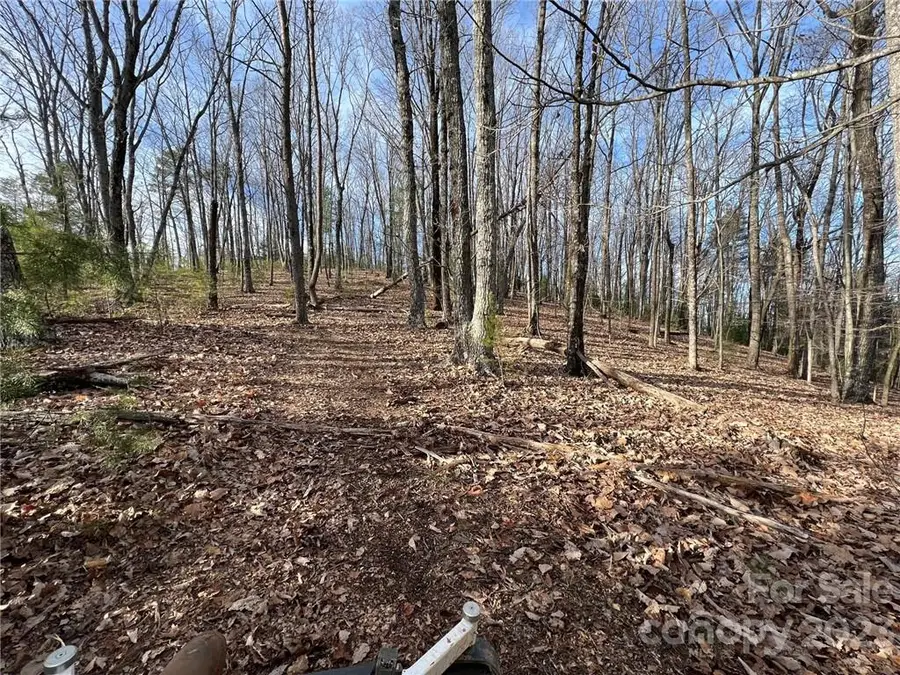 0 Taylorsville Road #Tract 1, Taylorsville, NC 28681 - Image #3
