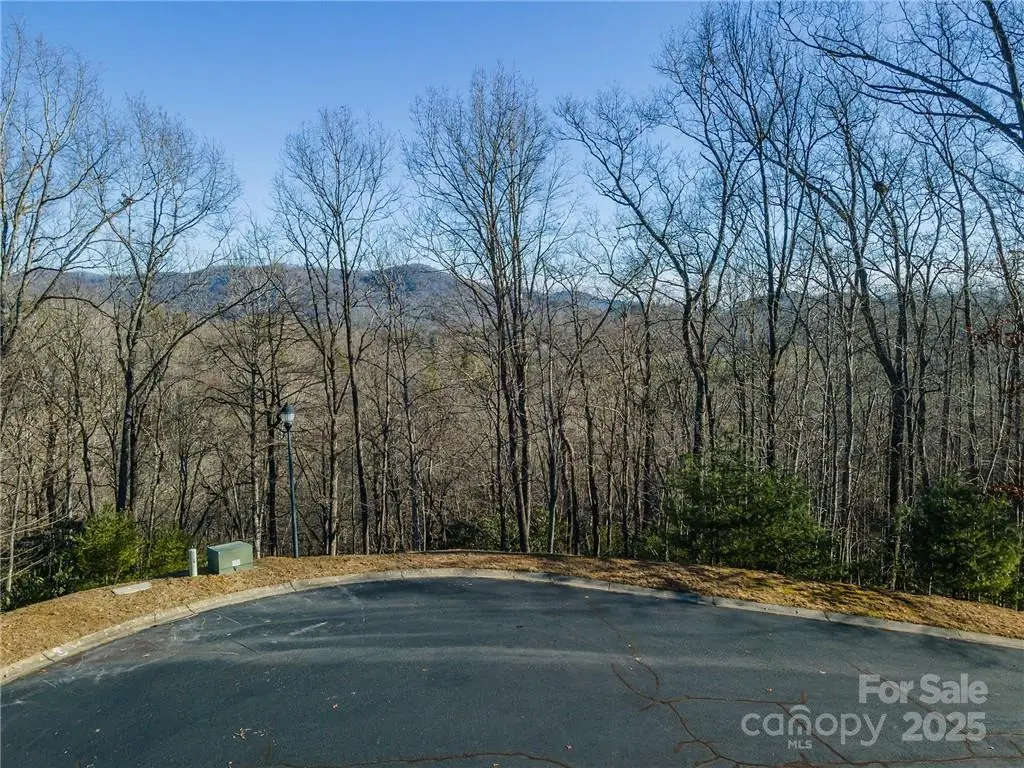 80 Buckhead Trail #27, Horse Shoe, NC 28742 - Image #1