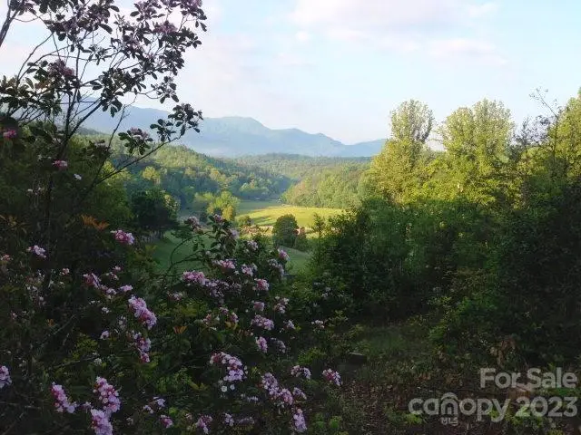 Lot 19 Sunkota Trail, Bryson City, NC 28713 - Image #2