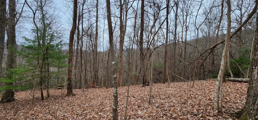 4.17 Acres Spruce Lane #28, Zirconia, NC 28790 - Image #2