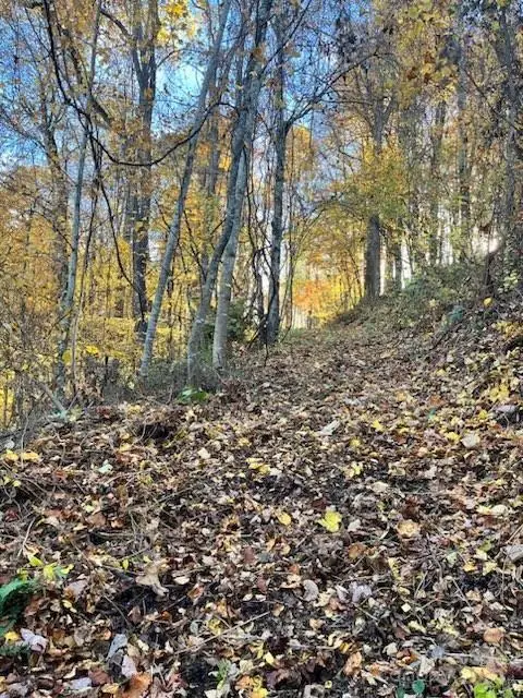 0 Whispering Winds Road, Maggie Valley, NC 28751 - Image #2