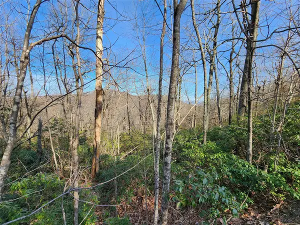 Lot 22 Sunset Ridge Drive #22, Columbus, NC 28722