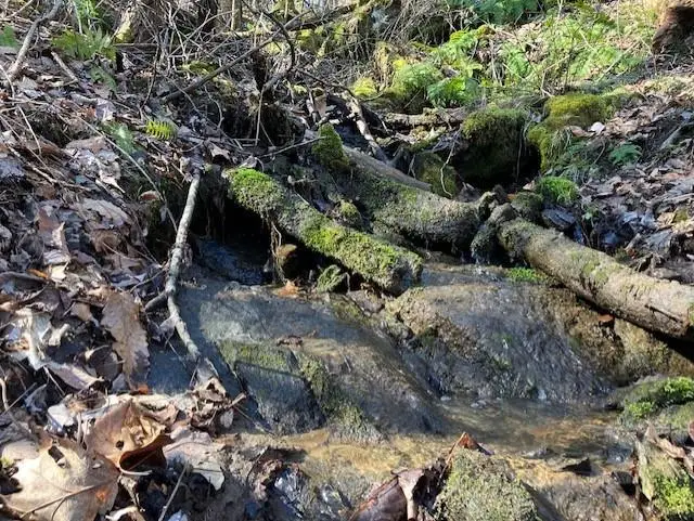 00 Utah Mountain Road #3, Waynesville, NC 28785 - Image #2