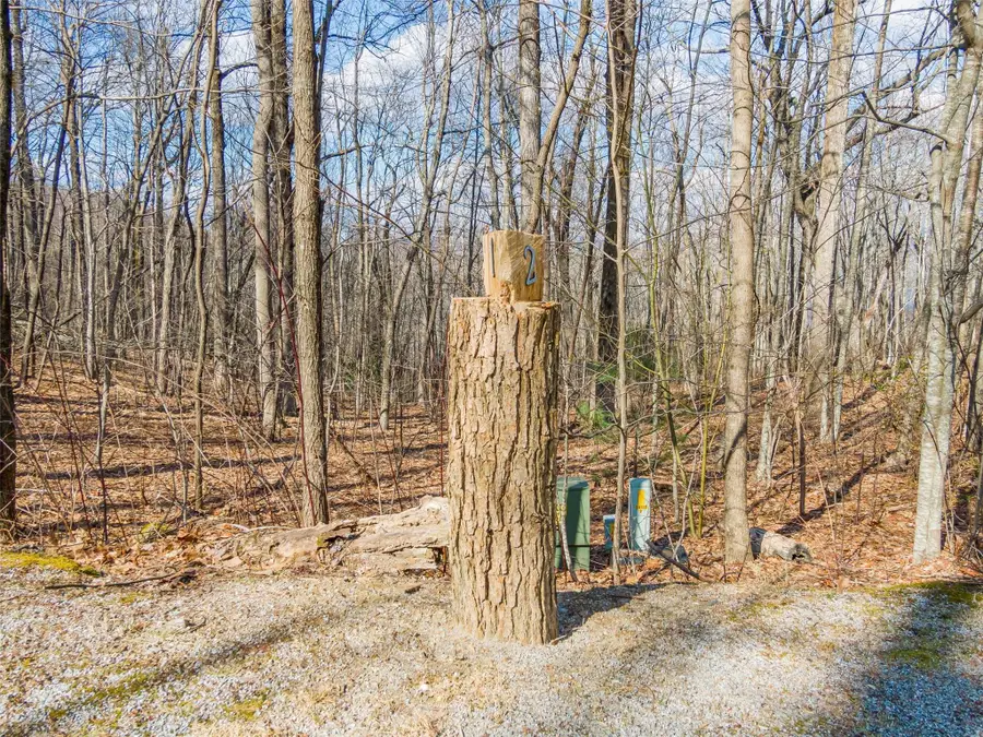 P 1&2 Panther Summit Drive, Lake Toxaway, NC 28747 - Image #2