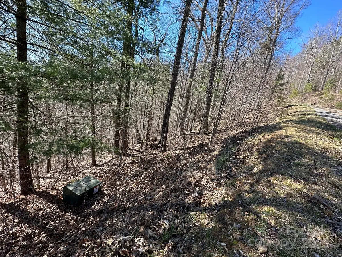 936 Sunnyside Drive #Lot 27, Marshall, NC 28753 - Image #1