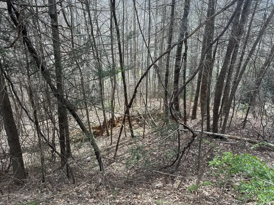 0000 Tuckaway Ridge Drive, Hendersonville, NC 28792 - Image #2