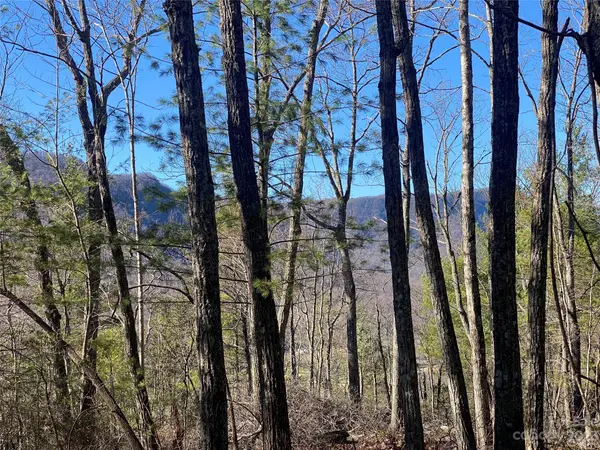 Lot 49 Sunrise Path, Marion, NC 28752