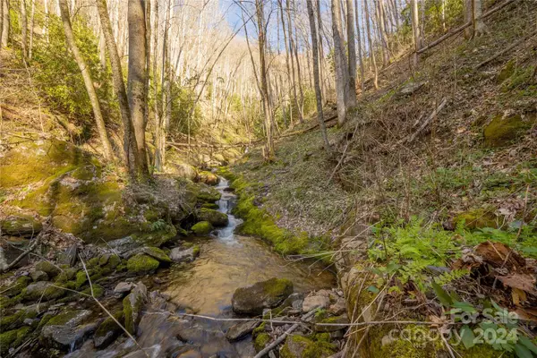 00 Buff Creek Road, Sylva, NC 28779