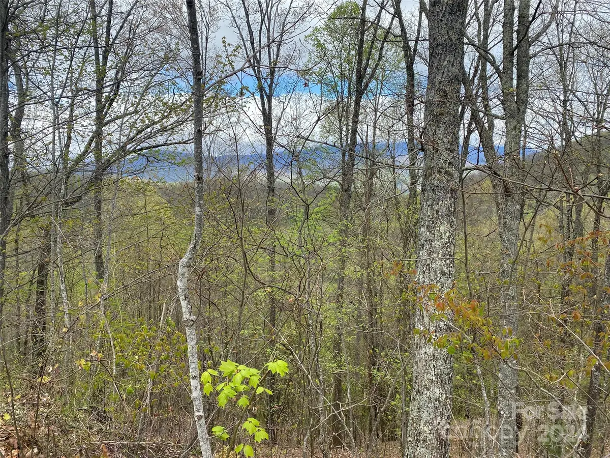 Lot 33 Heritage Ridge Road, Burnsville, NC 28714 - #1