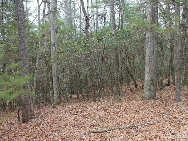0000 Wildlife Trail #.84 ACRES, Hendersonville, NC 28739