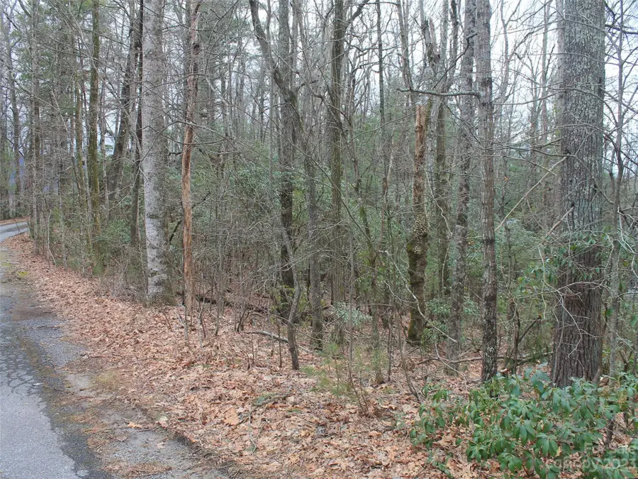 0000 Wildlife Trail #.84 ACRES, Hendersonville, NC 28739 - Image #3