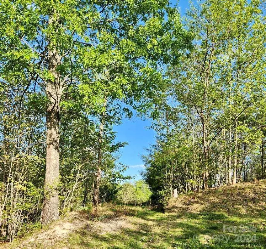 391 Red Fox Trail #16, Marshall, NC 28753 - Image #2