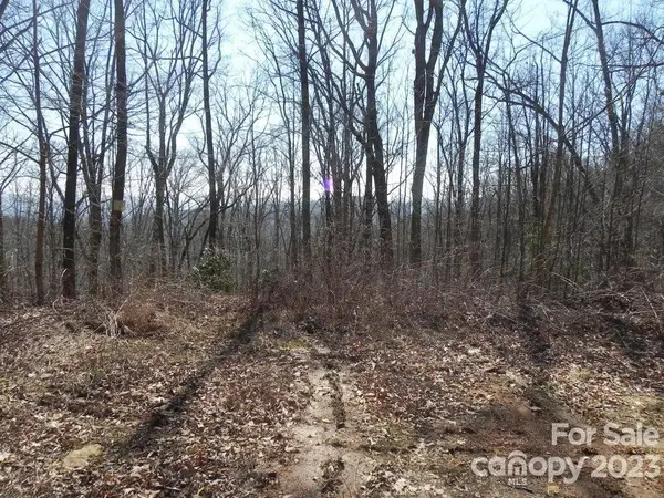 9999 Dj Drive #323, Fairview, NC 28730