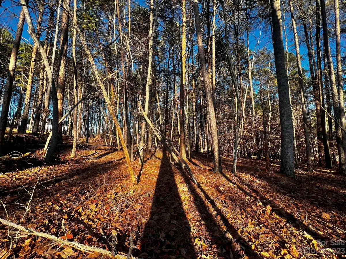 129 Hunt Camp Trail #15, Davidson, NC 28036 - Image #1