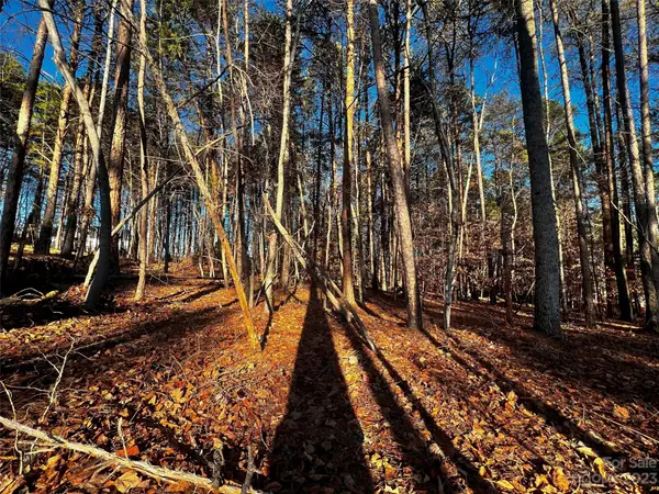 129 Hunt Camp Trail #15, Davidson, NC 28036