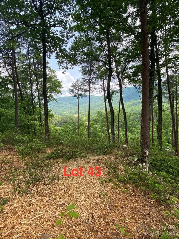 LOT 43 Deep Gap Farm Road E, Mill Spring, NC 28756