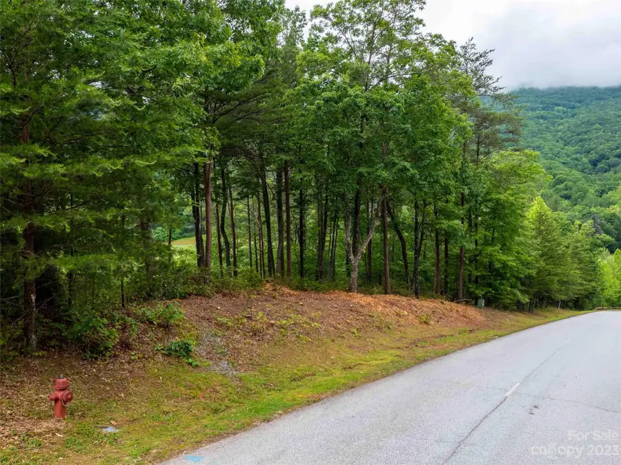 LOT 43 Deep Gap Farm Road E, Mill Spring, NC 28756 - Image #3