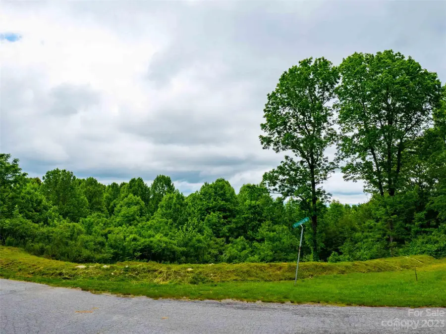 LOT A Deerwood Lane, Laurel Park, NC 28739 - Image #2