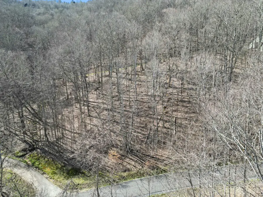 18 Chestnut Village Lane #18, Mars Hill, NC 28754 - Image #2