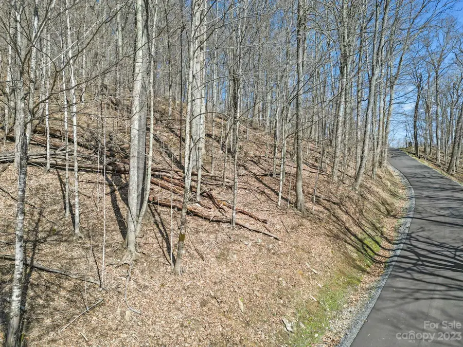 18 Chestnut Village Lane #18, Mars Hill, NC 28754 - Image #3