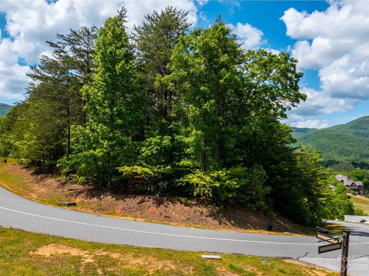 LOT 2012 Deep Gap Farm Road E, Mill Spring, NC 28756 - Image #1