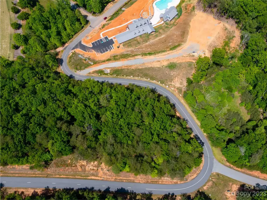 LOT 2012 Deep Gap Farm Road E, Mill Spring, NC 28756 - Image #3