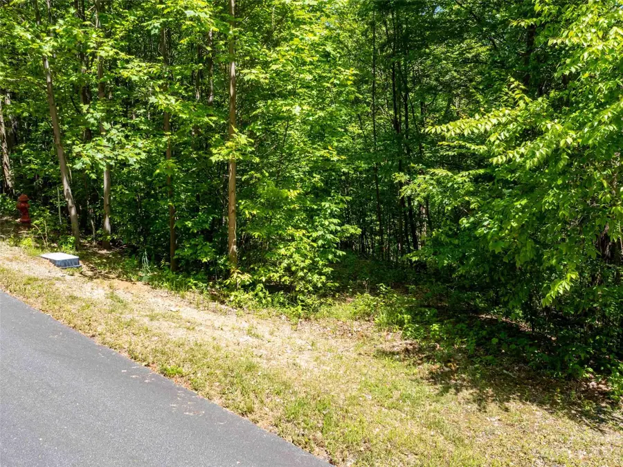 LOT 2111 Harm Creek Loop, Mill Spring, NC 28756 - Image #3