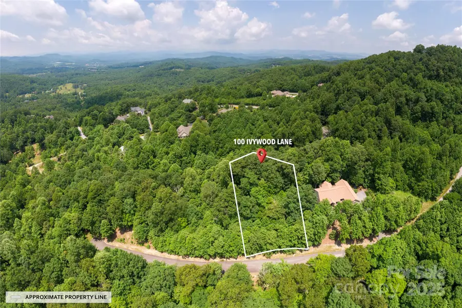 100 Ivywood Lane, Laurel Park, NC 28739 - Image #2