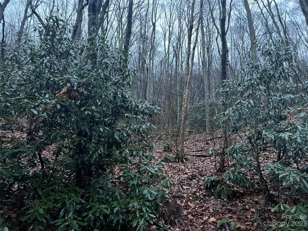 00 Wildflower Cove Road #18, Swannanoa, NC 28778 - Image #1