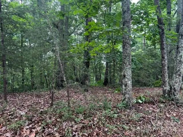 46 N Park Lane, Mill Spring, NC 28756 - Image #3