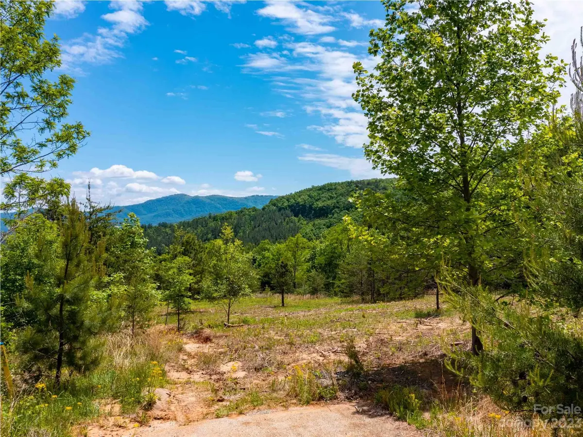 LOT 185 Harris Court, Mill Spring, NC 28756 - Image #1