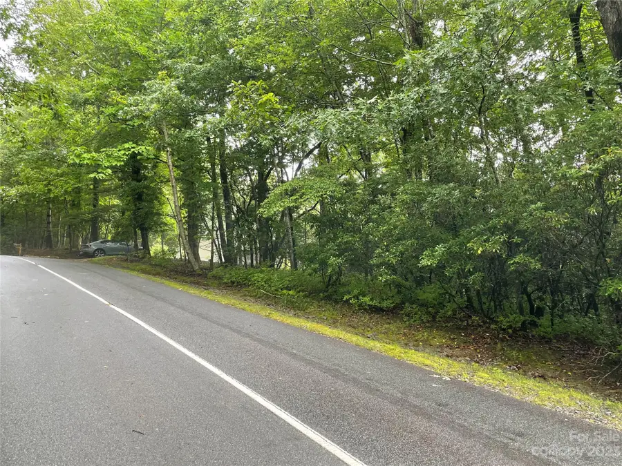 TBD Tellico Trail #116/01, Brevard, NC 28712 - Image #2